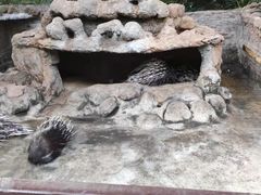 -海南热带野生动植物园