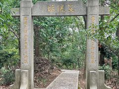 -上海佘山国家森林公园天马山园