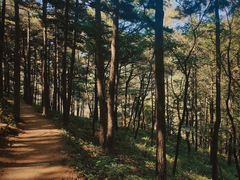 -泰山风景名胜区