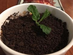 -院落创意菜