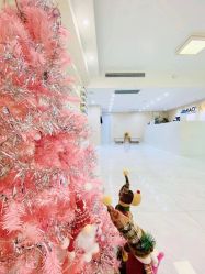 -韩国淼美颜皮肤管理官方直营店