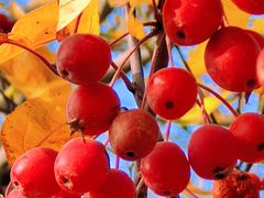 -廊坊文化艺术中心