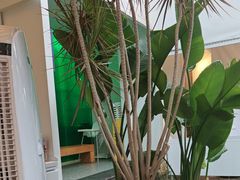 -听香·678茶铺(猛追湾店)