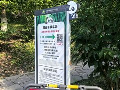 -都江堰中华大熊猫苑