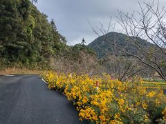 -广州市石门国家森林公园