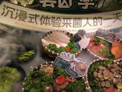 -芸山季·云南山珍菌火锅(人民广场来福士店)