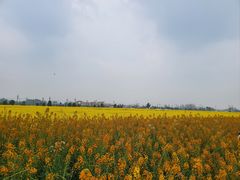 -中国天府农业博览园