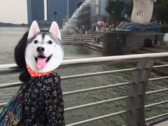 -鱼尾狮公园