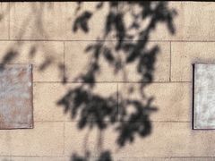 -利顺德大饭店·维多利亚花园(小白楼店)