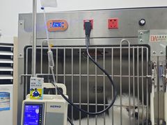 -总动员动物医院(宝丰院店)