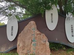 -风云岭森林公园