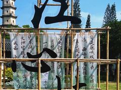 -江心屿景区