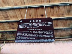 -海南槟榔谷黎苗文化旅游区