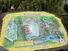 -太阳部落