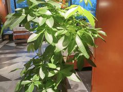 -大鸭梨烤鸭(金色漫香店)