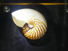 -海合安青岛极地海洋公园