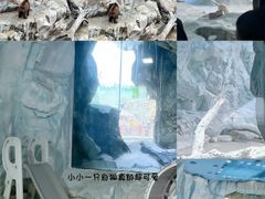 -珠海长隆海洋王国