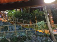 -巴倒烫陆派重庆火锅(南山店)