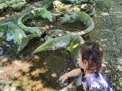-成都市活水公园