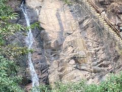 -广州白江湖森林公园