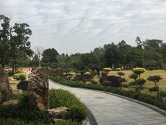 -广东圆玄道观
