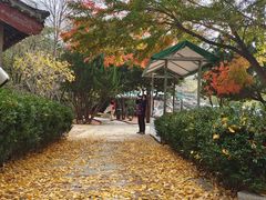 -青岛崂山太清宫