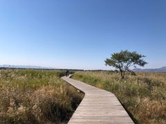 -野鸭湖国家湿地公园