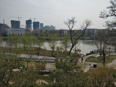 -西海子公园