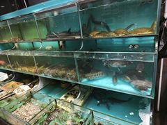 -顺德佬华侨城店·商务宴请·团建