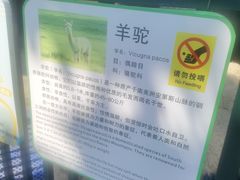 -青岛鑫江温德姆酒店