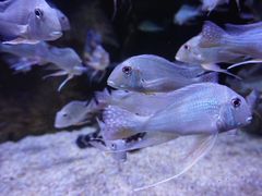 -成都浩海立方海洋公园