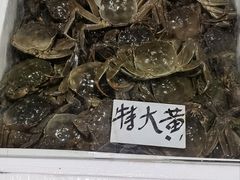 -新农都水产市场