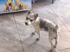 -韵之源农家菜(北京1店)