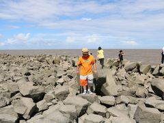 -南汇嘴观海公园