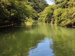 -溪口-滕头旅游景区