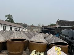 -苏州市吴中区光福窑上花果蜜饯厂