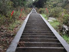 -江西阳明山国家森林公园