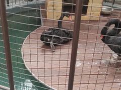 -洛阳龙门海洋馆