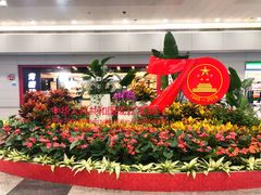 -上海浦东国际机场-T2航站楼