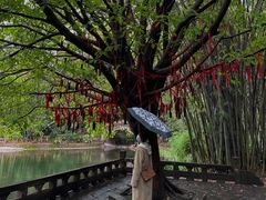 -望江楼公园