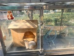 -青岛鑫江温德姆酒店