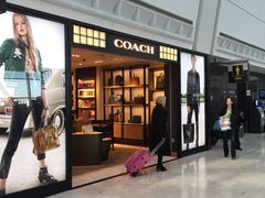 -约翰·菲茨杰拉德·肯尼迪国际机场