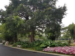 -南宁南湖公园