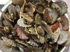 -宾朋海鲜特色美食餐厅·纯手工鲅鱼水饺(兴海路店)