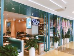 -青瓷火锅料理(西单大悦城店)
