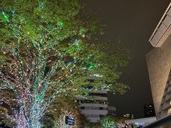 -六本木新城展望台(东京城市景观)
