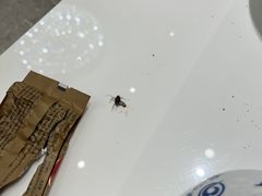 -有心德(麦地店)