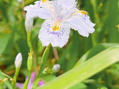 -上海滨江森林公园