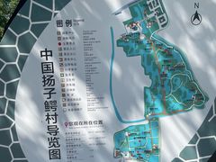 -中国扬子鳄村