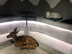 -浣熊柯尔鸭土拨鼠·电玩咖